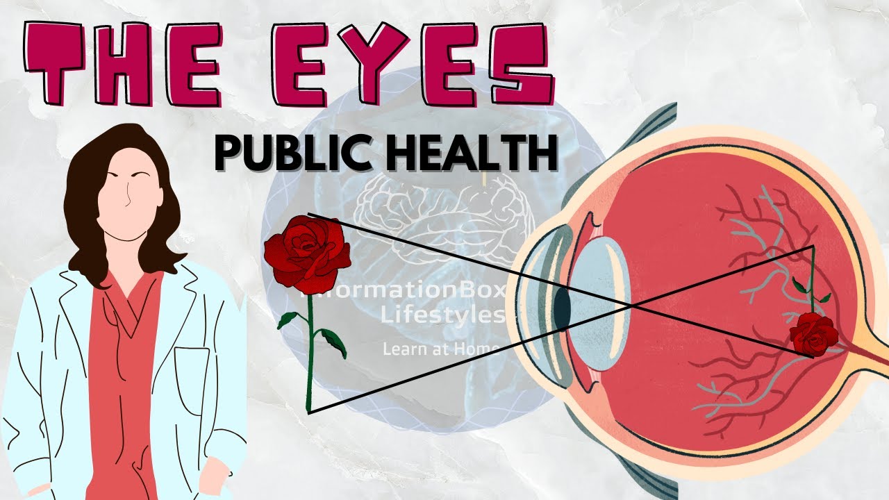 Public Health Unit 1: Making Healthy Choices | The Eyes | Doctor_dr2021 | Microbiology
