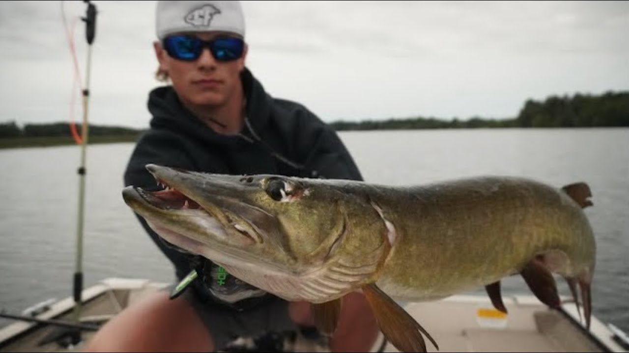 Fishing with BEAVERS for MUSKY???