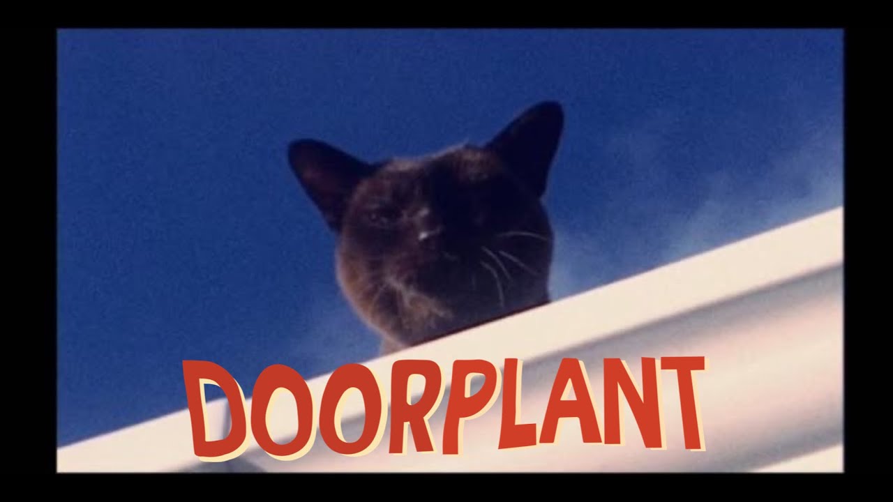 DOOR PLANT - Shower now (OFFICIAL MV)