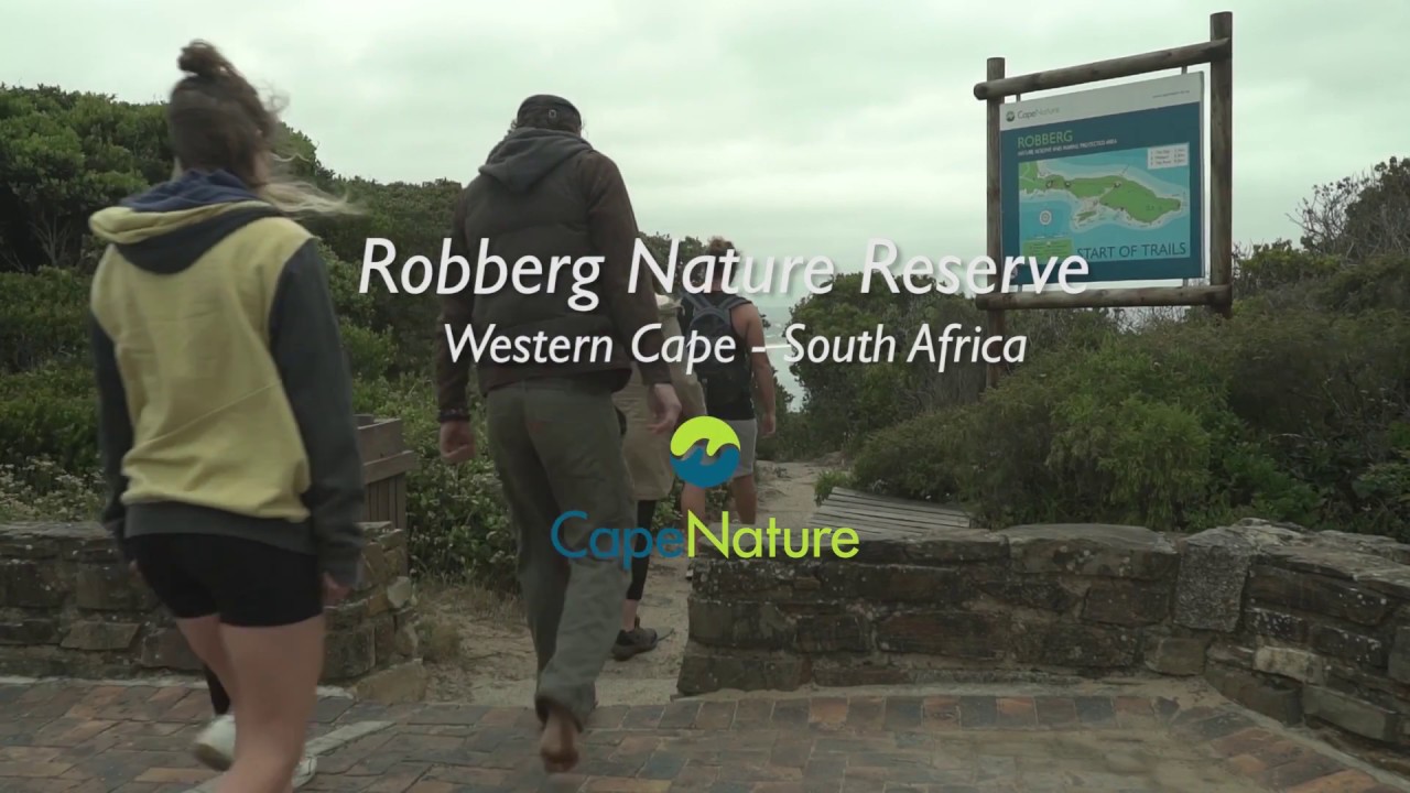 Robberg Nature Reserve: the Garden Route's hidden gem