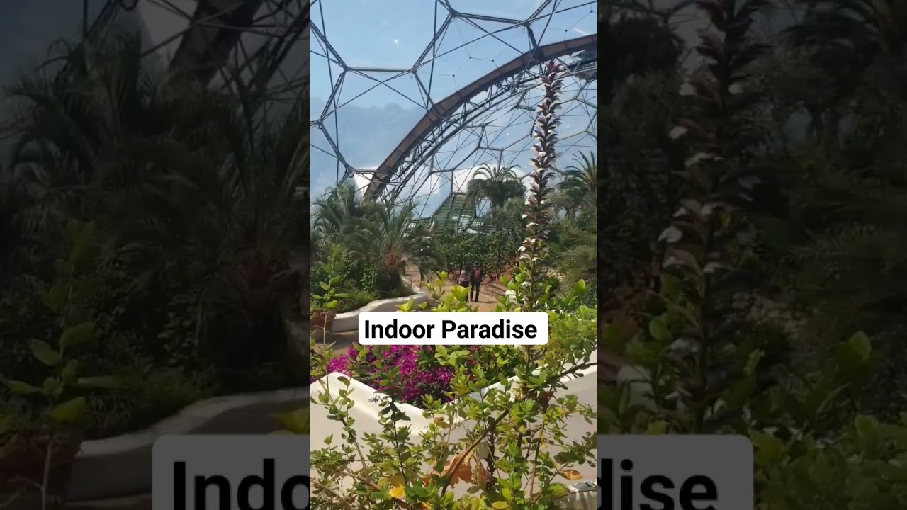 Indoor Tropical Paradise #garden #paradise #eden #wildlife