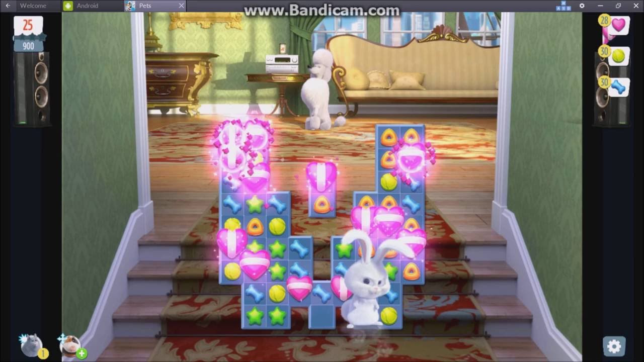 The Secret Life of Pets: Unleashed || Level 35