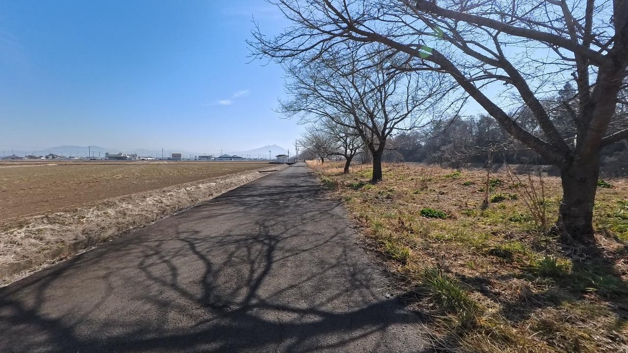 【いばらきヘルスロードを歩こう】コースNo. 243　大谷川鮭産卵と筑波山美景観賞コース Part 2（2026/02/14）