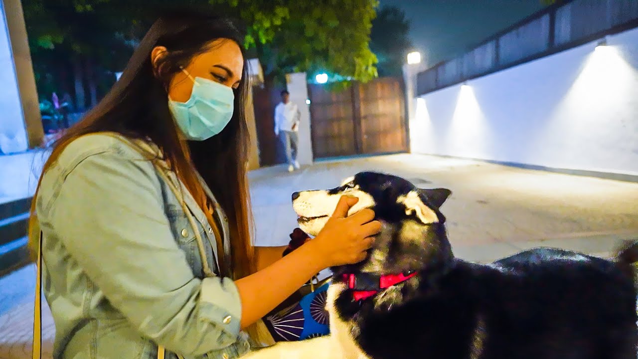 @KaniGamingg BECOMES A DOG LOVER AFTER MEETING BAGHEERA | @AlphaClasher KE ROOM MEIN YEH KYA MILA?😂
