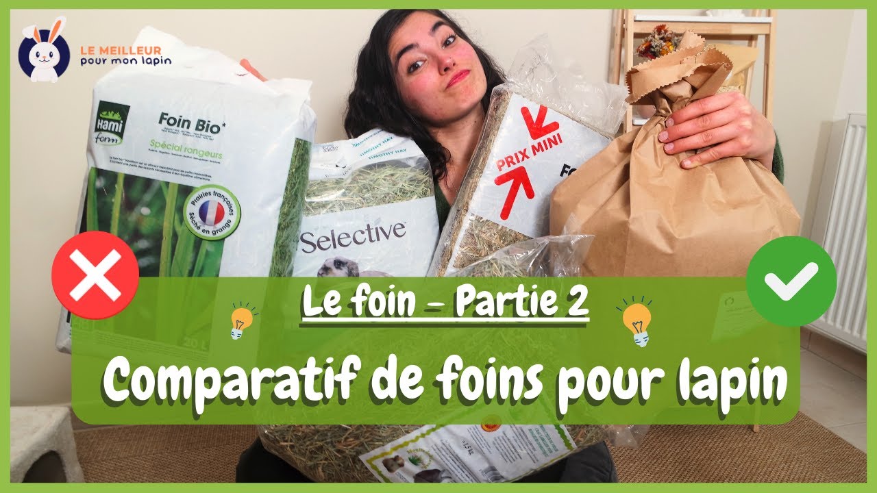 Mon Comparatif de foins pour lapin 😋 - Validé par Yuzu et Chouquette !