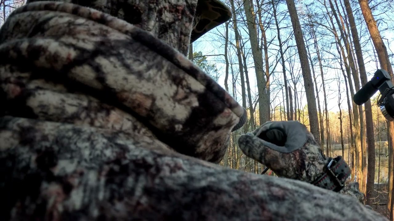 Late season doe hunt 2 does down 