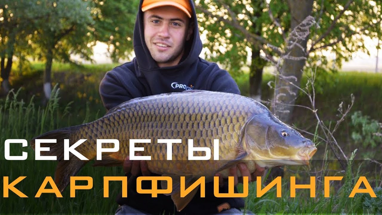 Секреты карпфишинга. Карповая программа под конкретный водоем в разных погодных условиях.