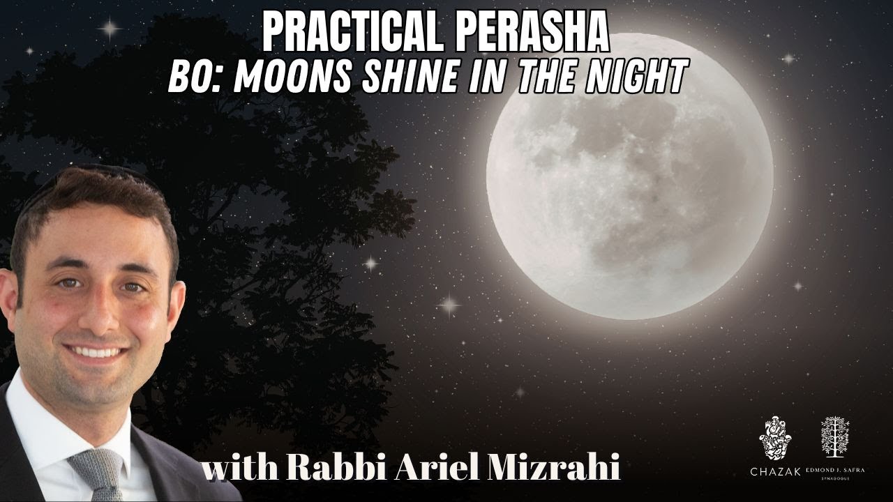 Bo: Moons Shine in the Night