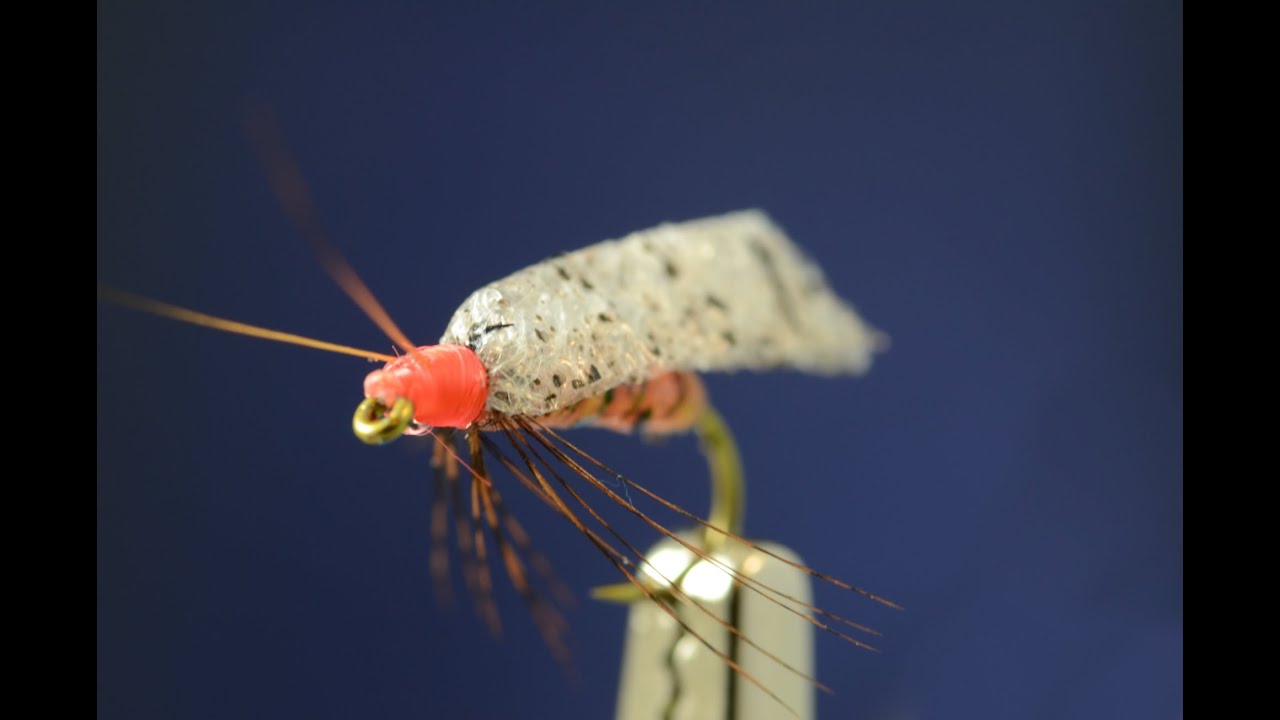 Foam Wing October Caddis -- Fly tying lesson video tutorial by Curtis Fry