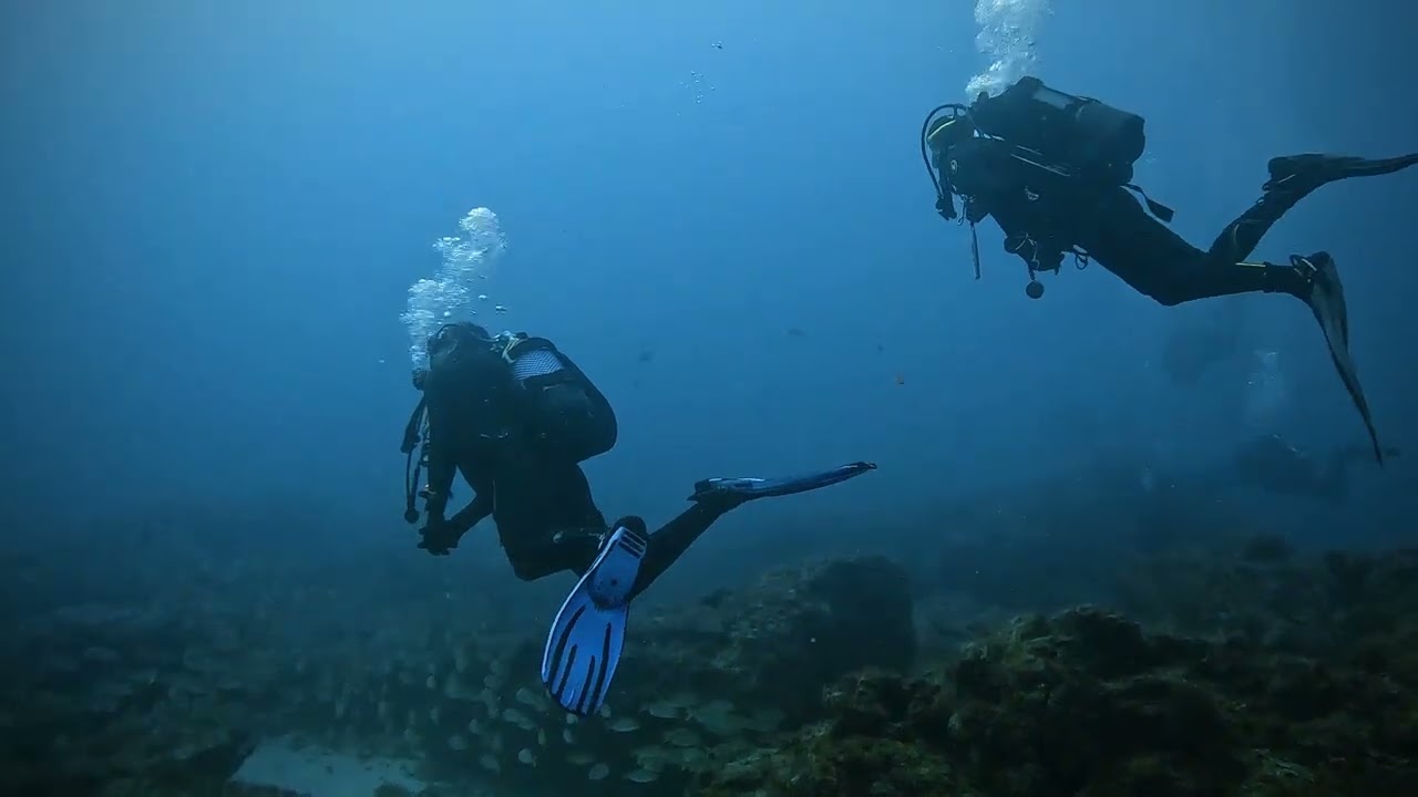 2025.12.06_Punta Berrugo