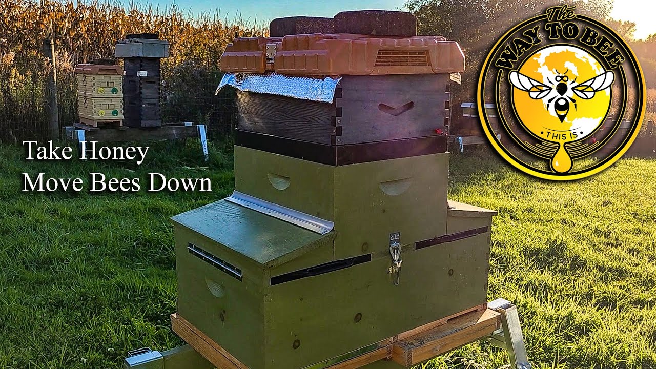 Упаковка пчелиного улья на зиму. Система Keeper's Hive с двумя матками.