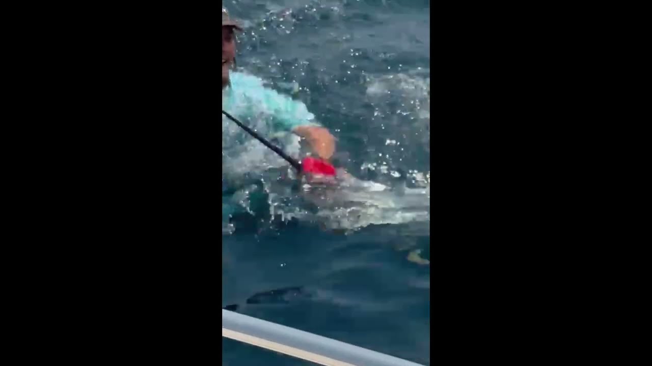 Man Catches Sailfish With His Hands | South Africa
