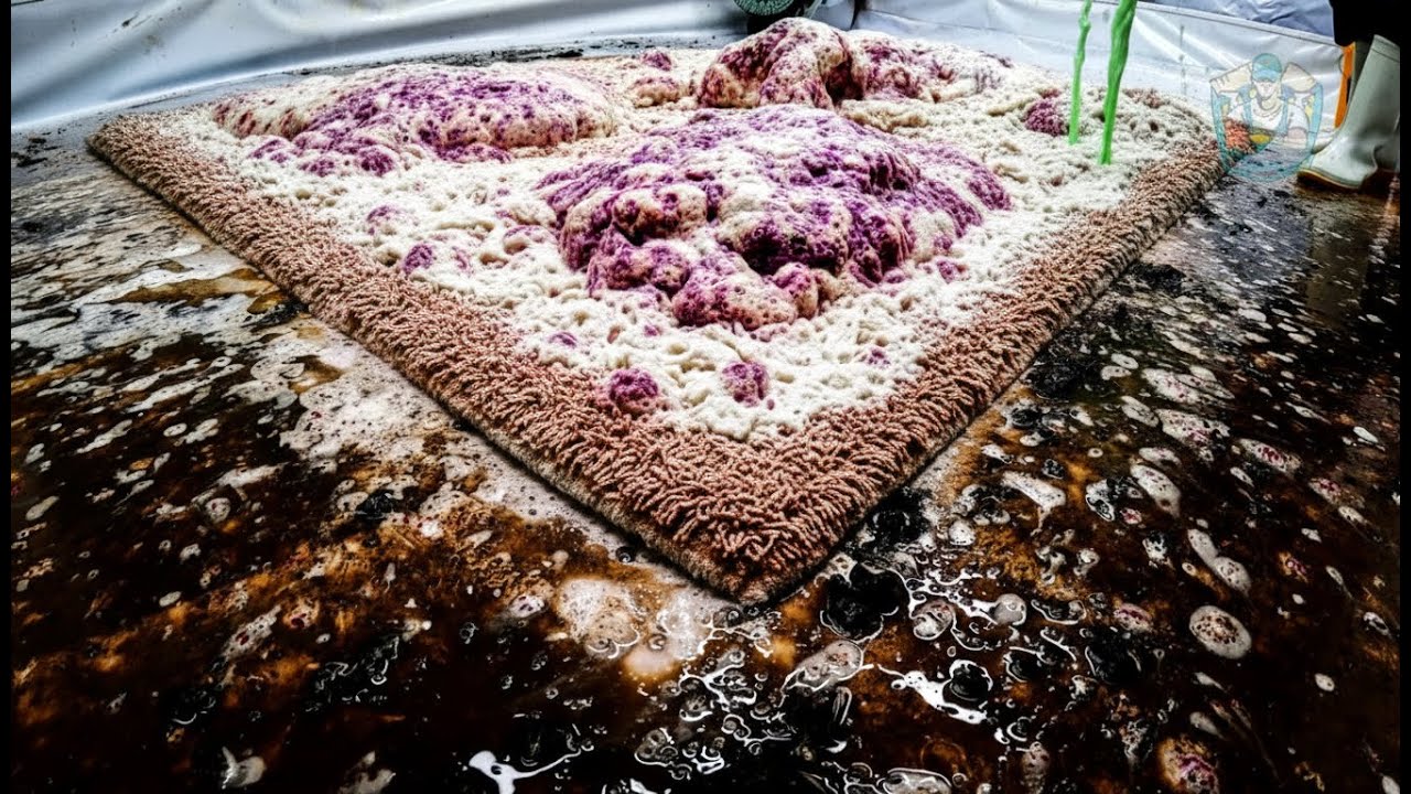 Carpet Buried Under 5cm of Mud – You Won’t Believe How Clean It Gets!