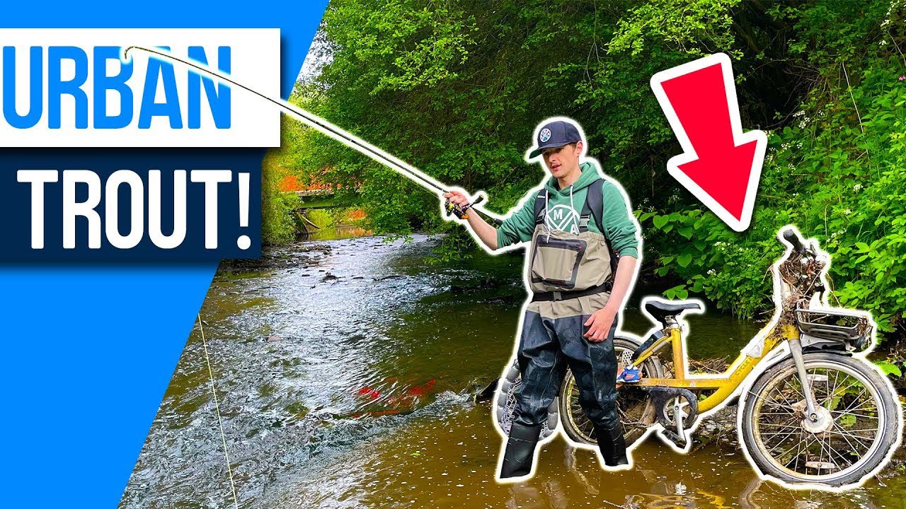 Searching for WILD Brown Trout in Manchester City Center! Lure Fishing