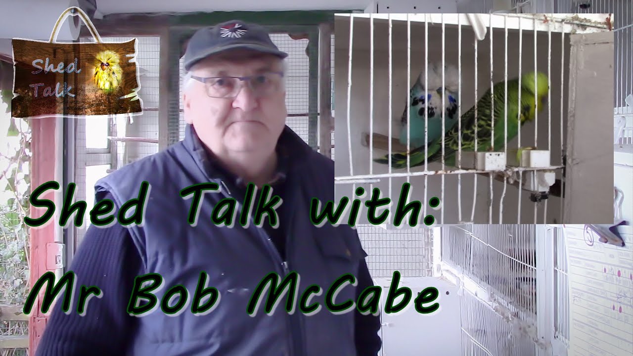 Series 3 Episode 24: Shed Talk with Mr Bob McCabe