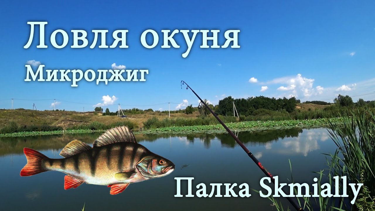 Рыбалка на микроджиг. Ловля окуня. Палка Skmially