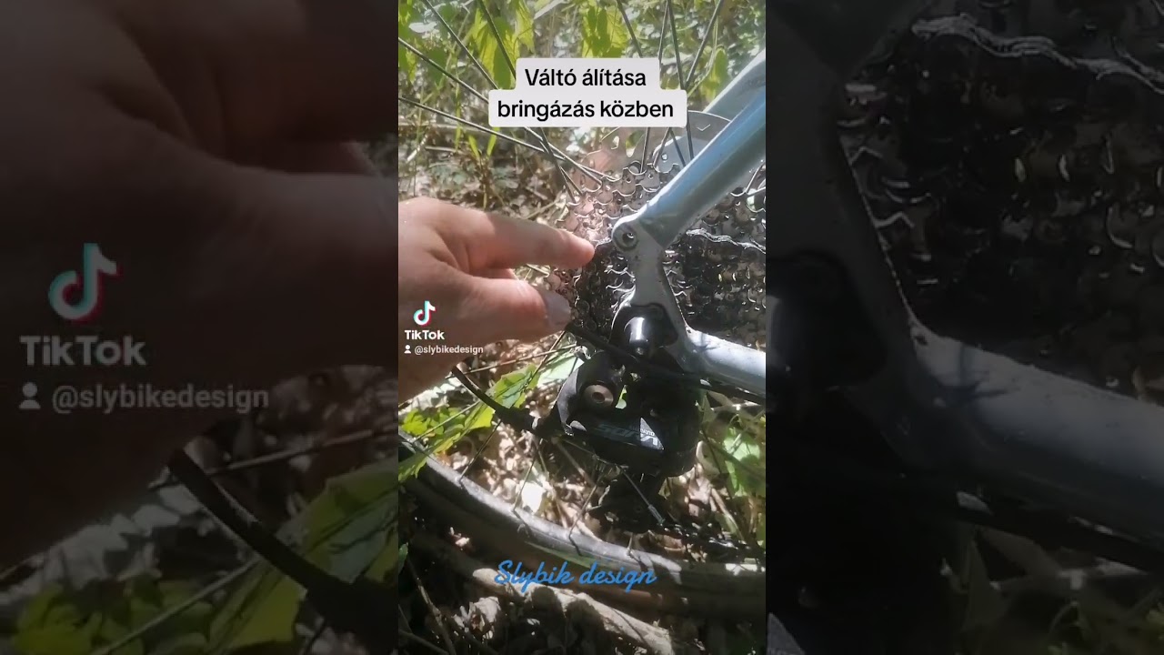 V&aacute;lt&oacute; be&aacute;ll&iacute;t&aacute;s bring&aacute;z&aacute;s k&ouml;zben