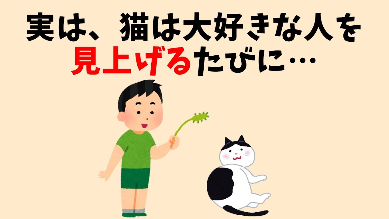猫の絆を感じる雑学 #猫 #雑学 #豆知識 #聞き流し #ねこ