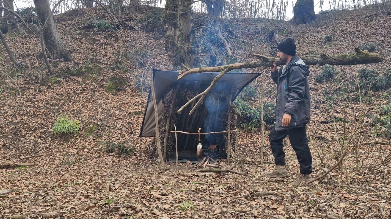 How to Build a Shelter in Nature? An Exciting Experience of Survival and Camping