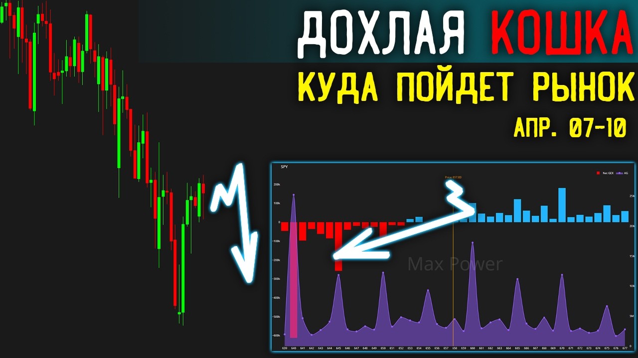 🔴| НЕ ЛОНГУЙ СЕЙЧАС: Это Дохлая Кошка. Как ЧИТАТЬ Планы Маркет Мейкера через GEX | #9