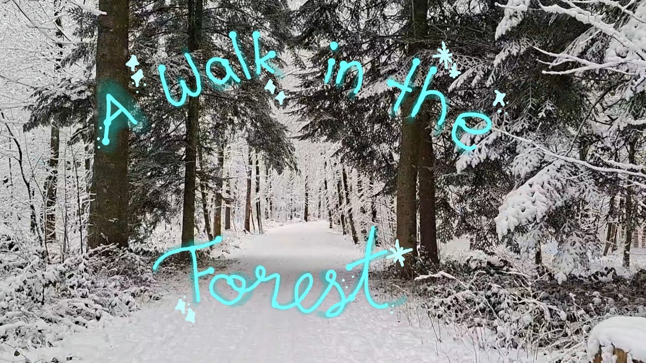 A walk in the forest - calm, peaceful, asmr