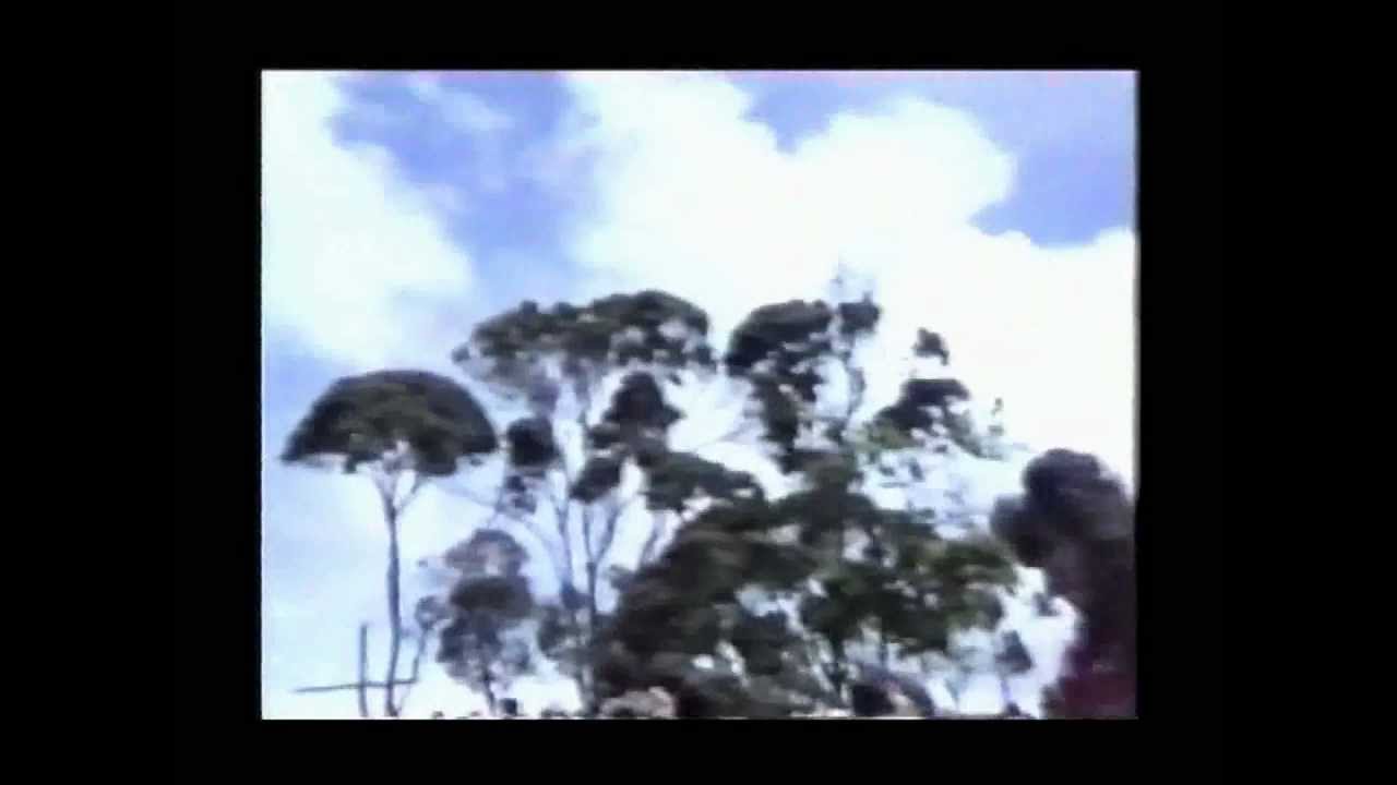 7 de abril de 1990: mensaje de la Virgen María Santificadora en el Santuario de sus apariciones.