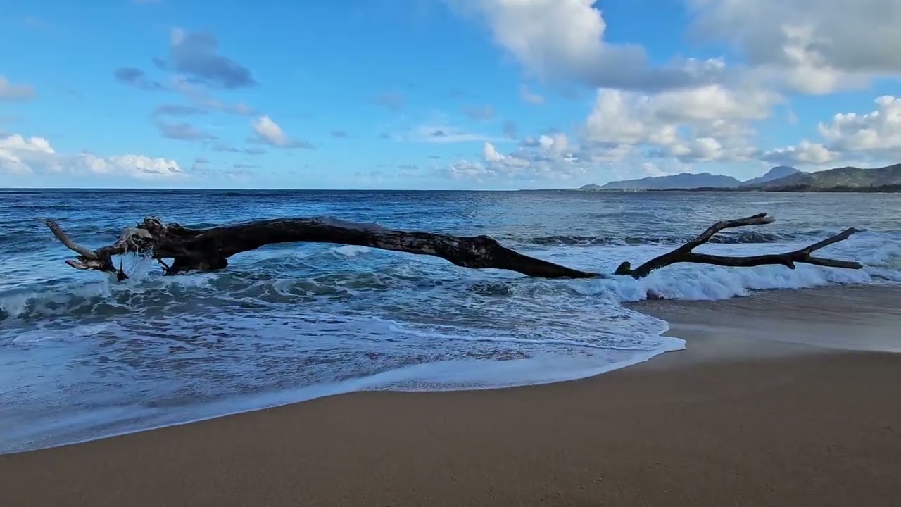 Drift in the Tide