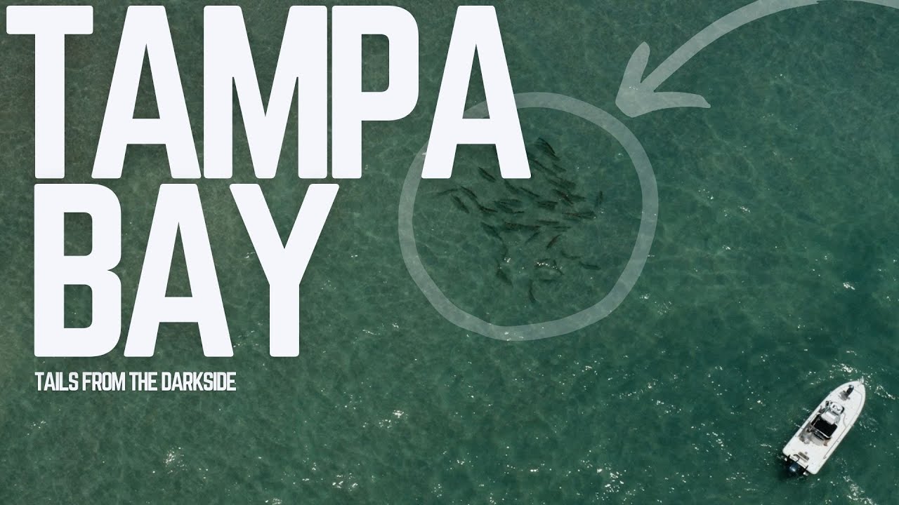 We Fought a GIANT Tarpon for HOURS in TAMPA BAY!
