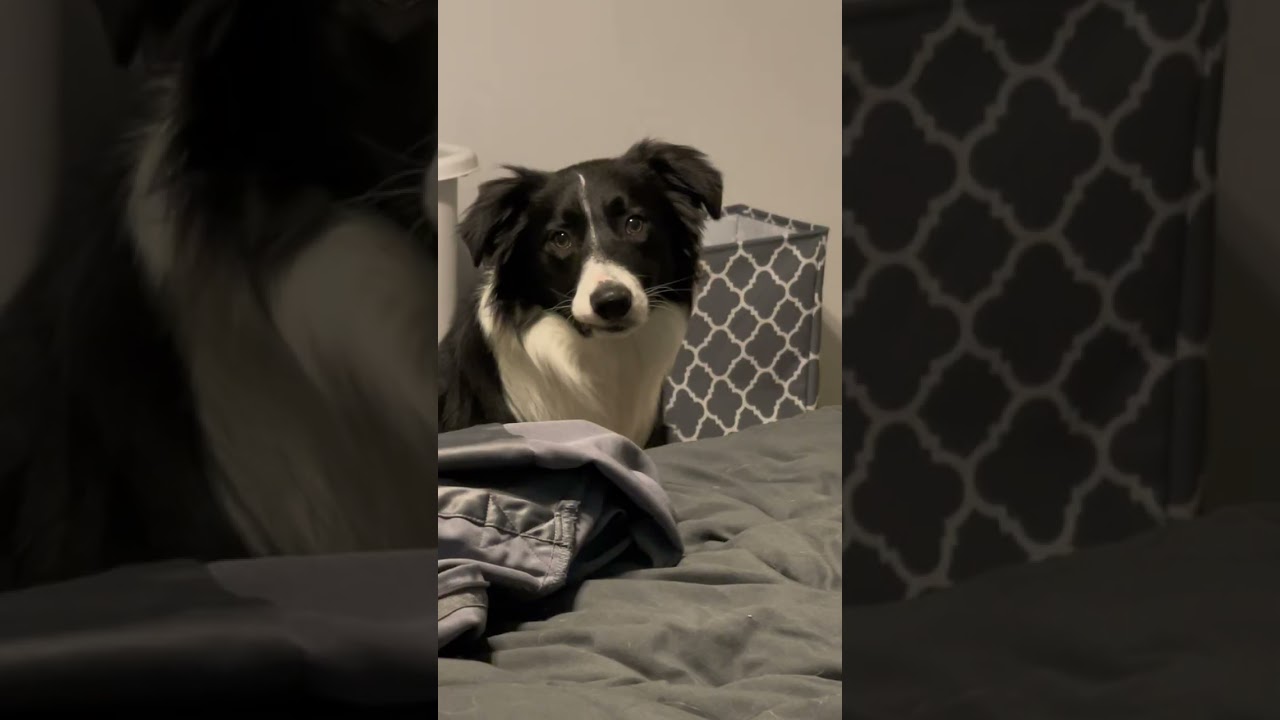 12 minutes of Norie being Norie 