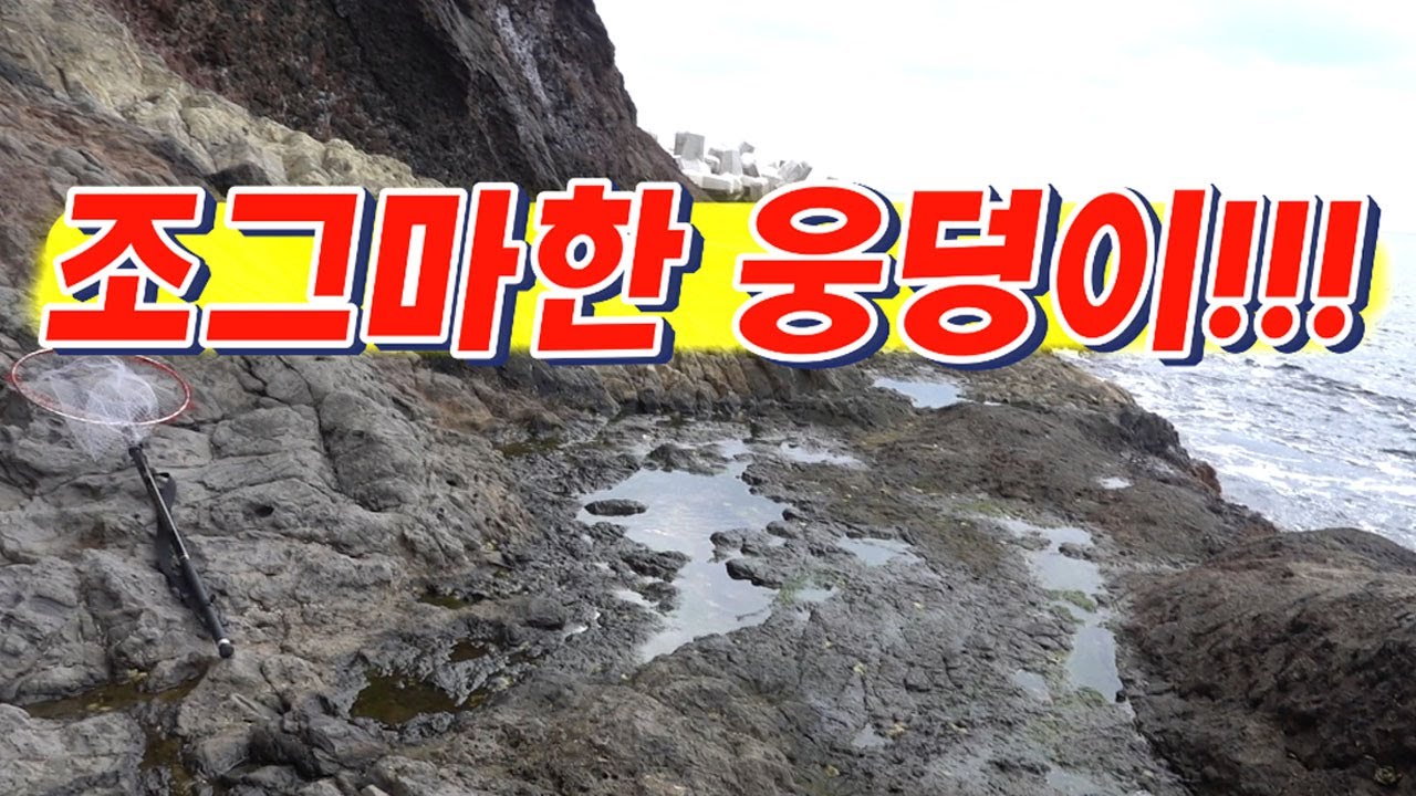 대박 웅덩이!! 참돔63 돌돔 벵에돔 이웅덩이 안에 다있다 ~!!  / Ulleungdo Island, where all the precious fish are located.