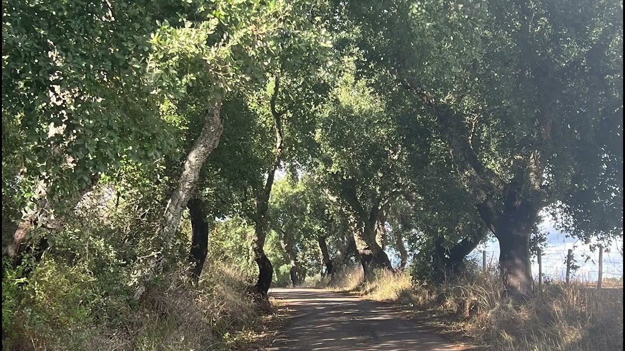O Alentejo: Entre a Tradi&ccedil;&atilde;o e a Modernidade