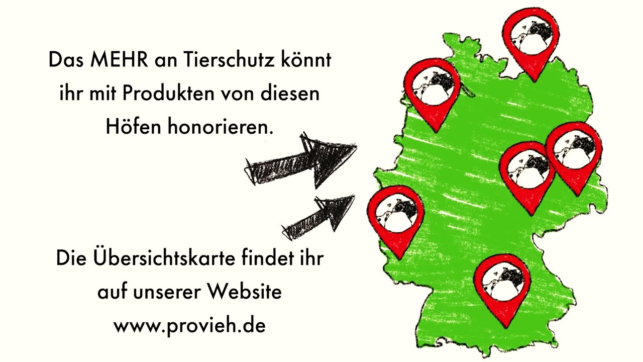 KUH & KALB gehören zusammen: PROVIEH erklärt die kuhgebundene Kälberaufzucht