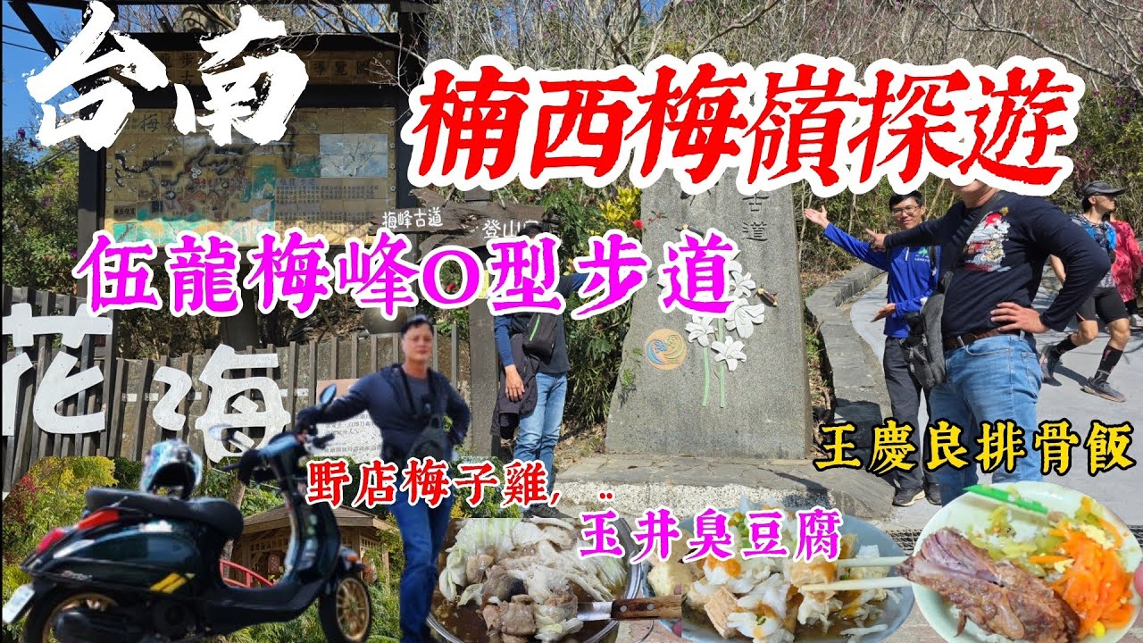 〔機車旅遊台南楠西梅嶺探遊〕一月的東北季風那麼強，不知道台南梅嶺的梅花盛開了沒？車友們要一起來吃梅子雞跟賞花嗎？在梅嶺的四大步道聽說都可相連要一起去走走看嗎？／王慶良排骨飯／野店梅子雞／玉井無名臭豆腐