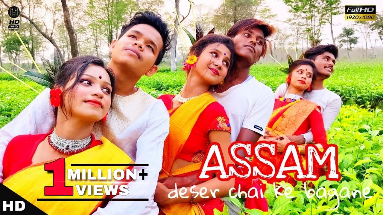 Assam deser chai ke bagane |❤ assam deser chai ke bagane new dance video(Assamese song) DDI DANCE
