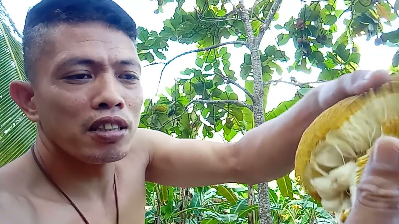 Can you please like and share my videos and subscribe my YouTube channel for more videos 