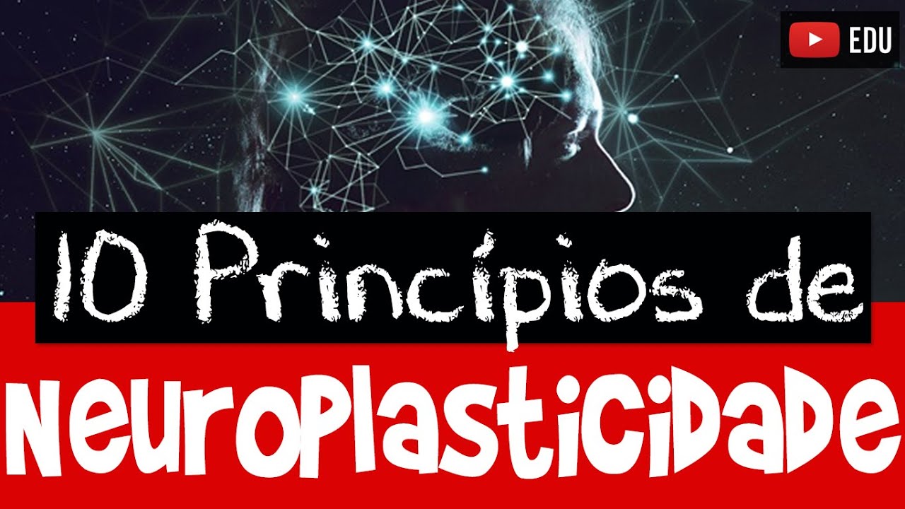 NEUROPLASTICIDADE: 10 Princ&iacute;pios que voc&ecirc; precisa conhecer!
