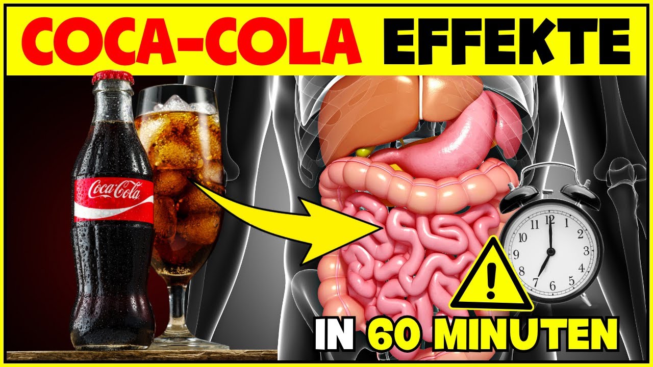 Welche Auswirkungen hat Coca Cola auf den K&ouml;rper?  Alle Wirkungen von Coca-Cola in 60 Minuten