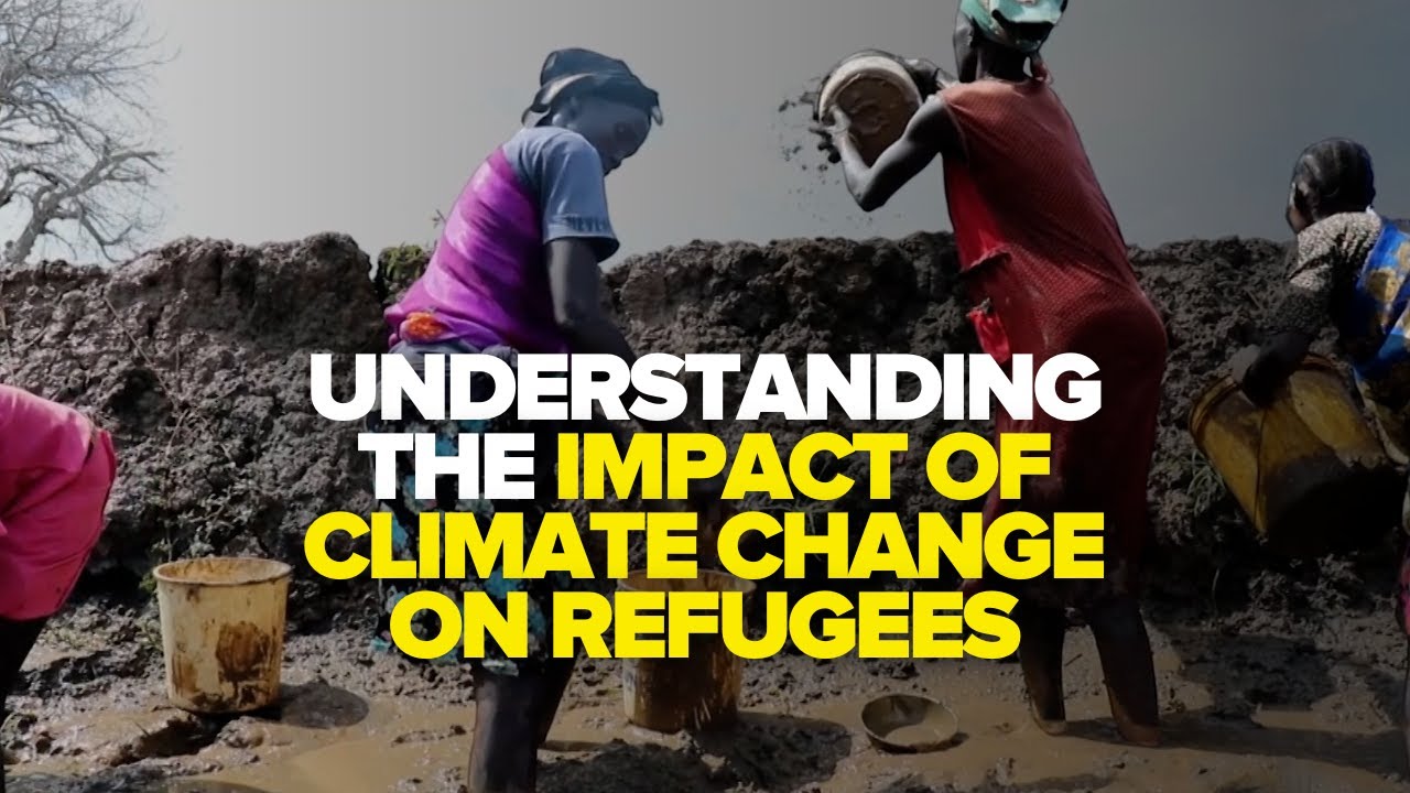Understanding the Impact of Climate Change on Refugees
