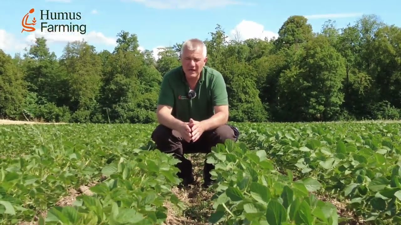 Teil 4 - Regenerative Landwirtschaft Friedrich Wenz HumusFarming - Soja und Grünland - 03. Juli 2023