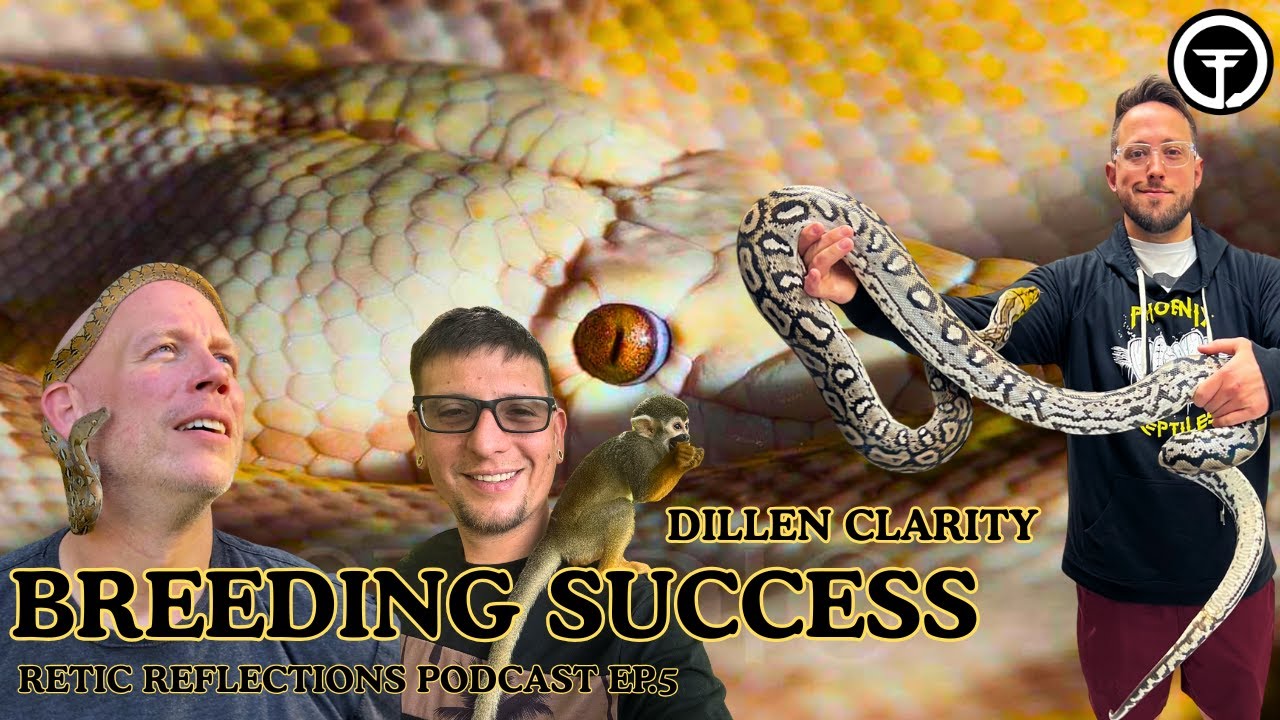 Episode 5: Breeding Success In The World Of Retics
