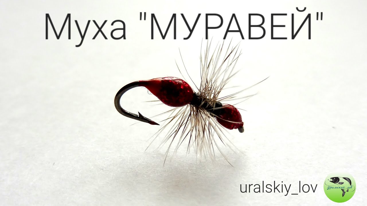 Муха 