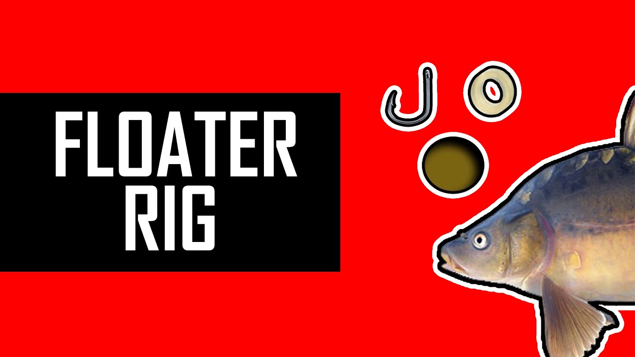 How to tie FLOATER rig for CARP fishing on the top?