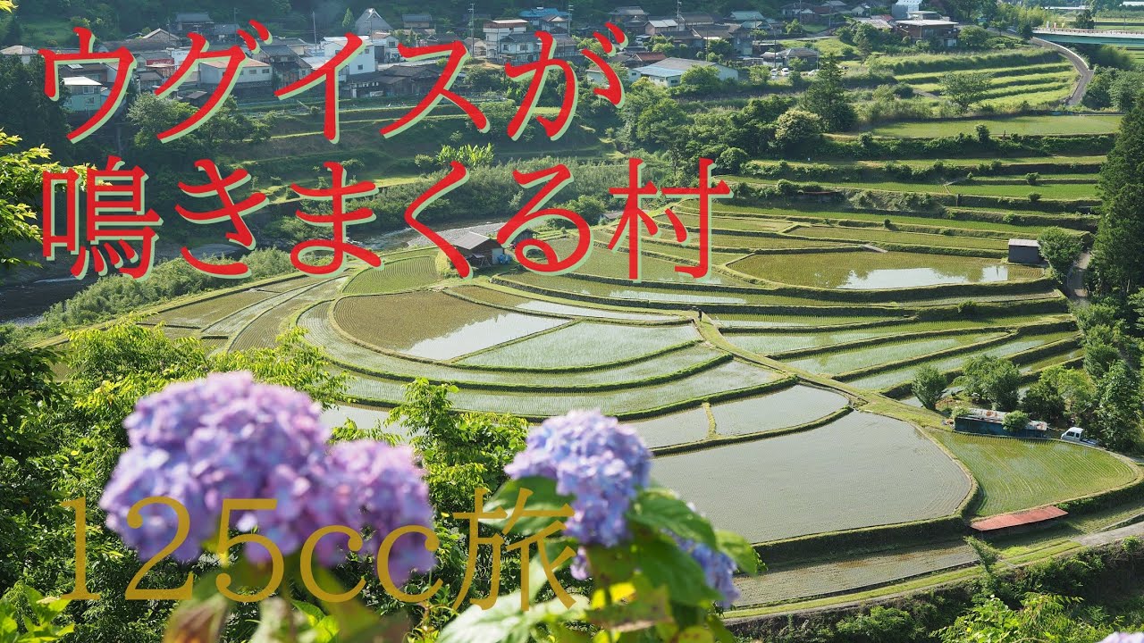 【田舎の風景】ウグイスだらけの生石高原とあらぎ島 125cc旅 Aragijima, Oishi Plateau with many warblers