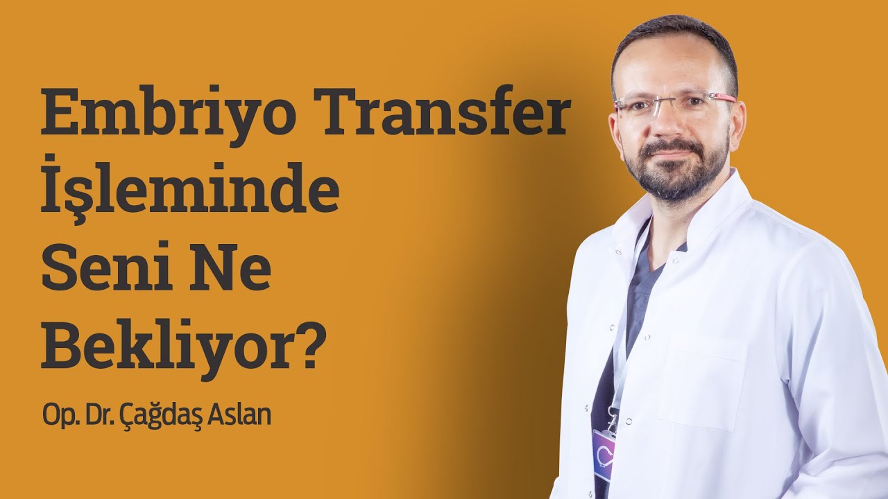 Embriyo Transfer İşleminde Seni Ne Bekliyor?