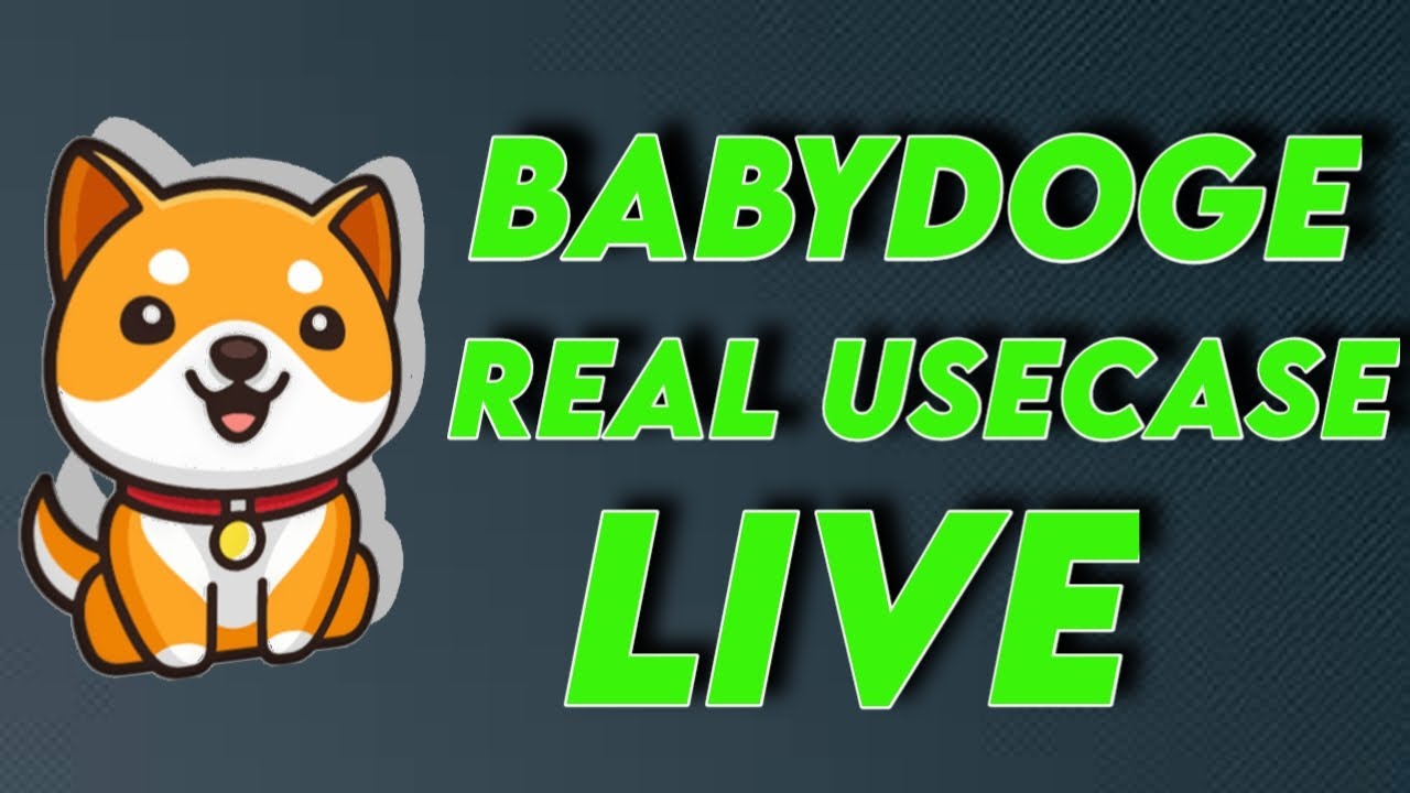 Baby Dogecoin Today Real Usecase Live 🔥🔥🔥 BabyDoge Future 🔥 Today Crypto News