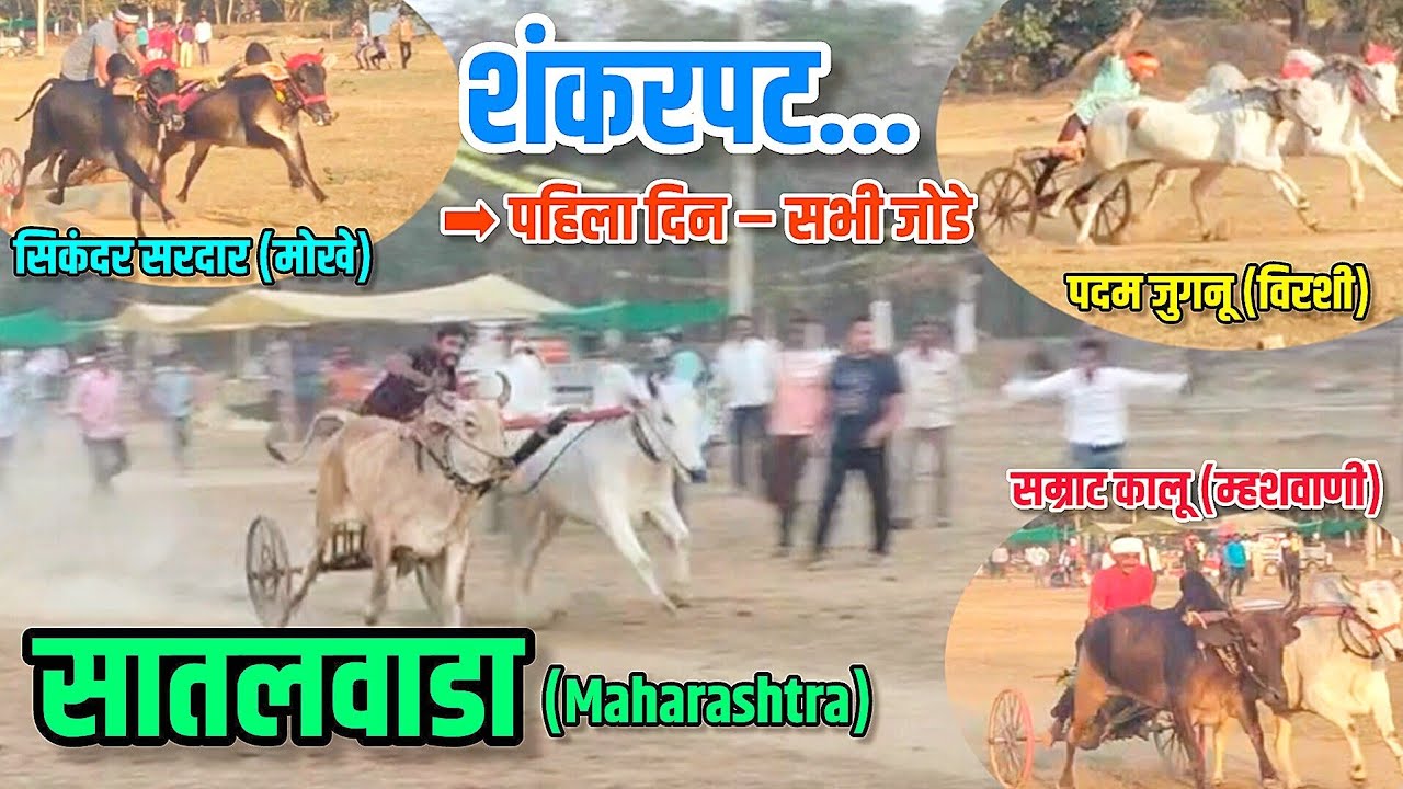 शंकरपट... सातलवाडा पहिला दिन सभी जोडे #bailgadasharyat #youtubevideos #Satalwada Pat