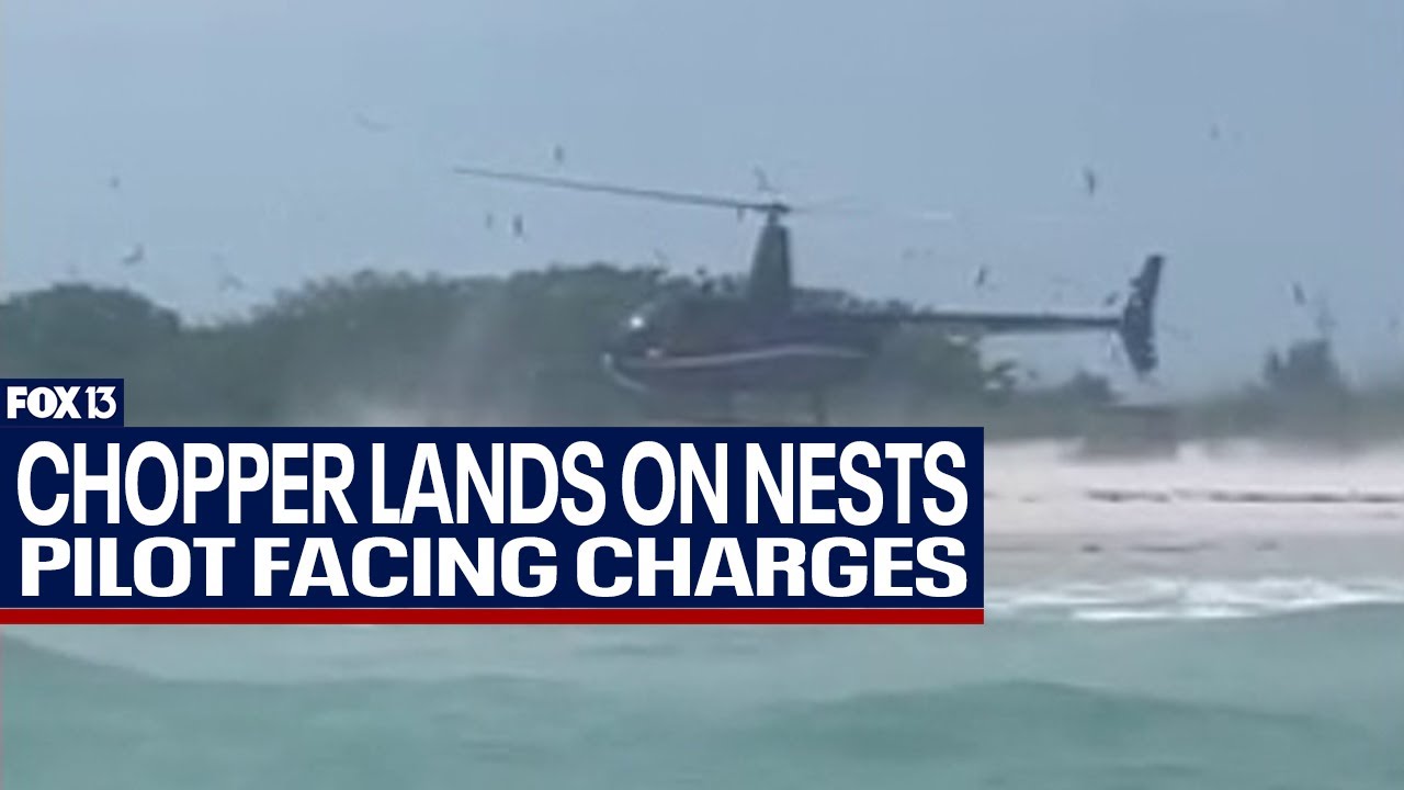 Man lands helicopter amid protected bird nests