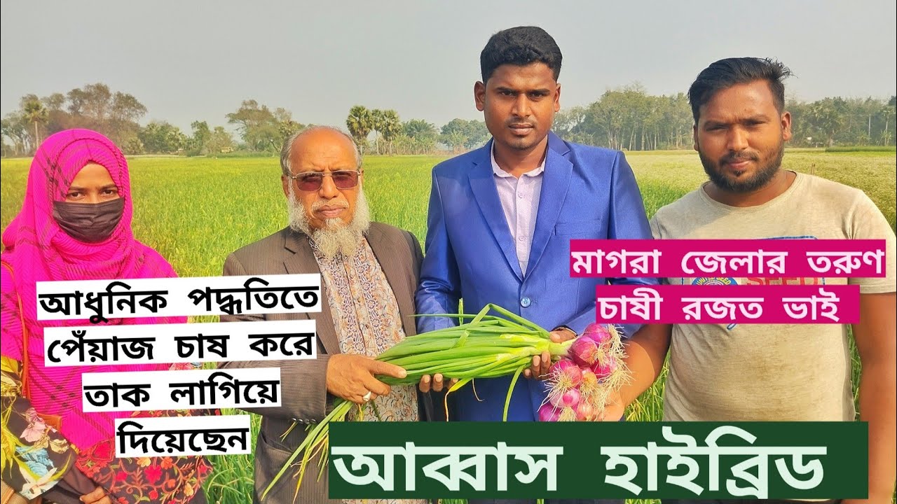 আধুনিক পদ্ধতিতে পেঁয়াজ চাষ করে তাক লাগিয়ে দিয়েছেন মাগুরা জেলার তরুণ চাষী রজত ভাই। আব্বাস হাইব্রিড। 