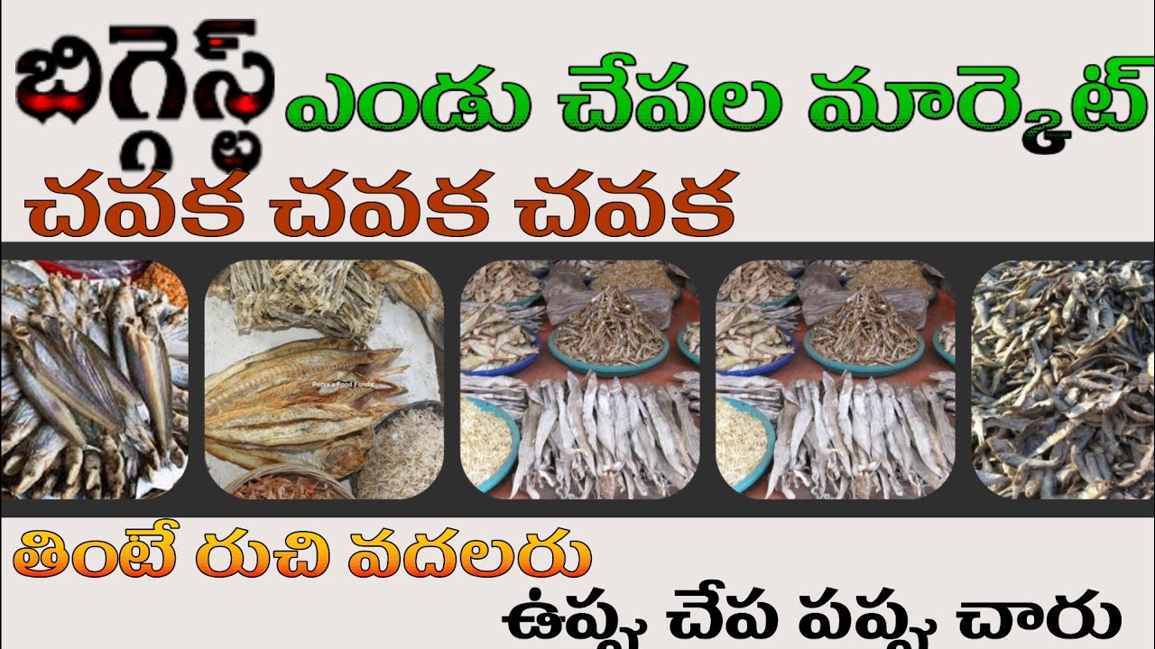 Rajahmundry || Dowleswaram || Wholesale dry fish market అతిపెద్ద ఎండు చేపల మార్కెట్Salt Fish market