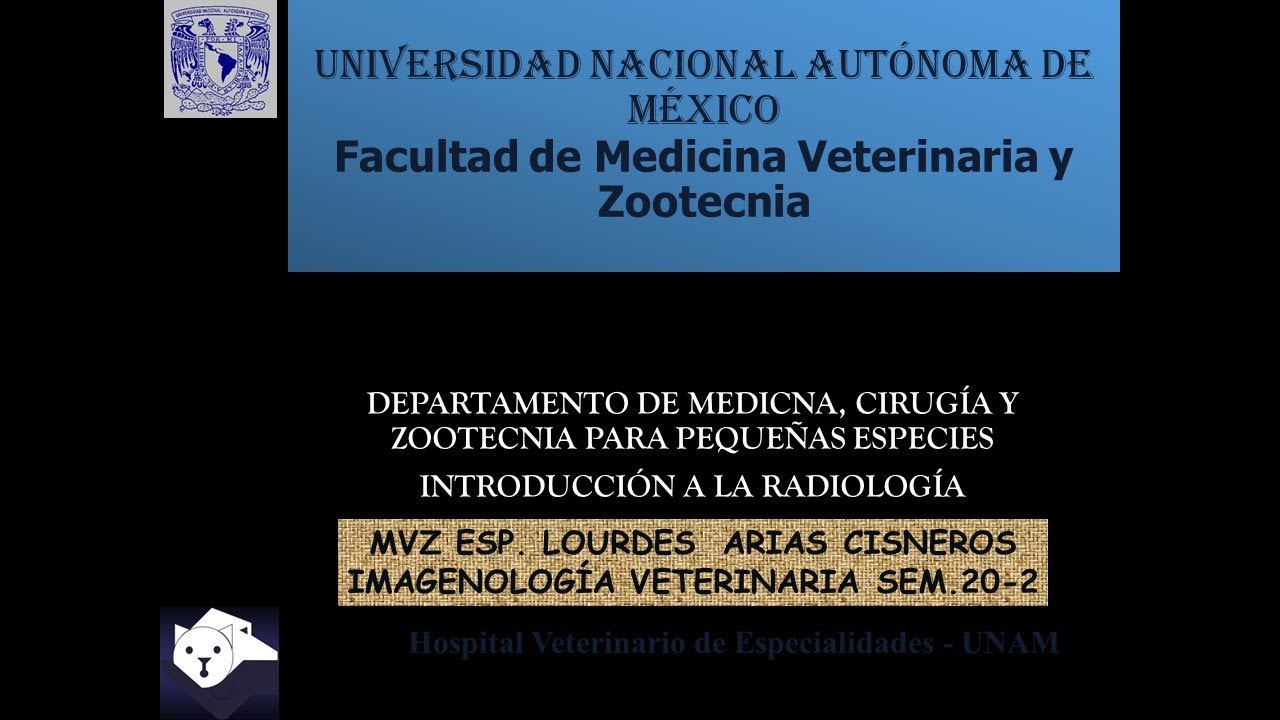 FMVZ UNAM Imagenología Veterinaria. 2021-1 Introducción. Clase con la Dra. Arías Cisneros.